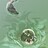 Crocodilus_Obscurus